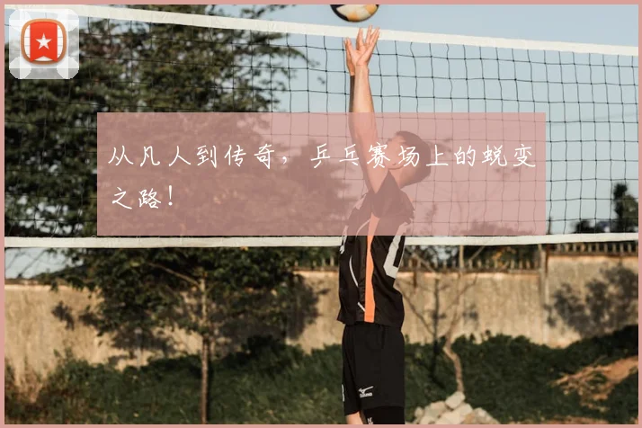 从凡人到传奇，乒乓赛场上的蜕变之路！